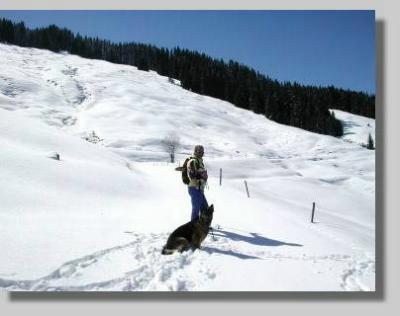 Schneeschuhspass f�r Mensch und Hund